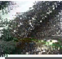 Henty Government Dam Nature Reserve - Accommodation Batemans Bay