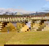 Historic Tabulam DeBurgh Timber Bridge - Accommodation Batemans Bay