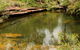 Hominy Creek Walking Track - thumb 0