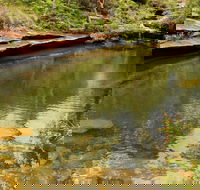 Hominy Creek Walking Track - Accommodation Batemans Bay