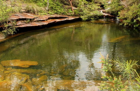 Hominy Creek Walking Track - Accommodation Batemans Bay 0