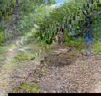 Kangaroo River Walking Track - Accommodation Batemans Bay