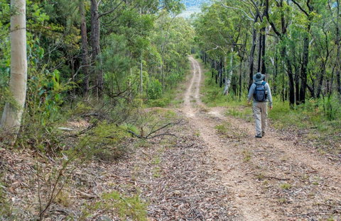 Kangaroo River Walking Track - Accommodation Batemans Bay 0