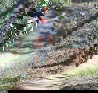 Kidsons Cycles - Accommodation Batemans Bay