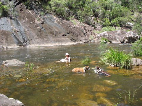 Mount Boss State Forest - Accommodation Batemans Bay 0