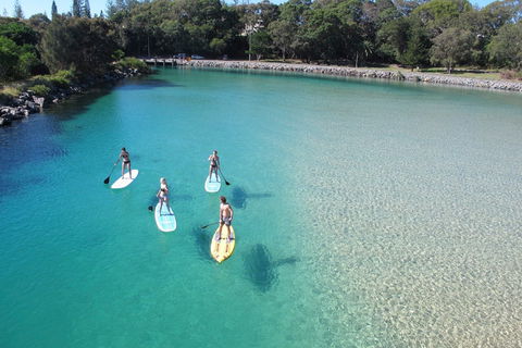 Paddleboard At Back Creek South West Rocks - Accommodation Batemans Bay 0