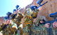Paintball Albury Wodonga - thumb 0