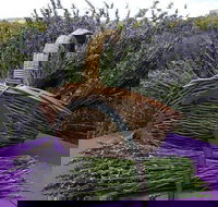 Rustique Lavender Farm - Accommodation Batemans Bay