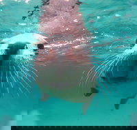 Seal Cove - Accommodation Batemans Bay