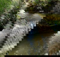 Second Ponds Creek Walk - Accommodation Batemans Bay