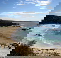 Snorkelling Mystery Bay - Accommodation Batemans Bay