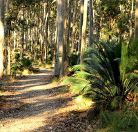 Square Head Track 2 - Accommodation Batemans Bay