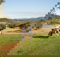 Tamworth and Kootingal Horse Riding Adventures - Accommodation Batemans Bay