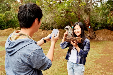 Taranna - Accommodation Batemans Bay 0