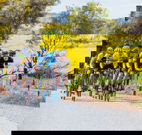 The Heron's Highway - Avon River Cycle Trail - Accommodation Batemans Bay