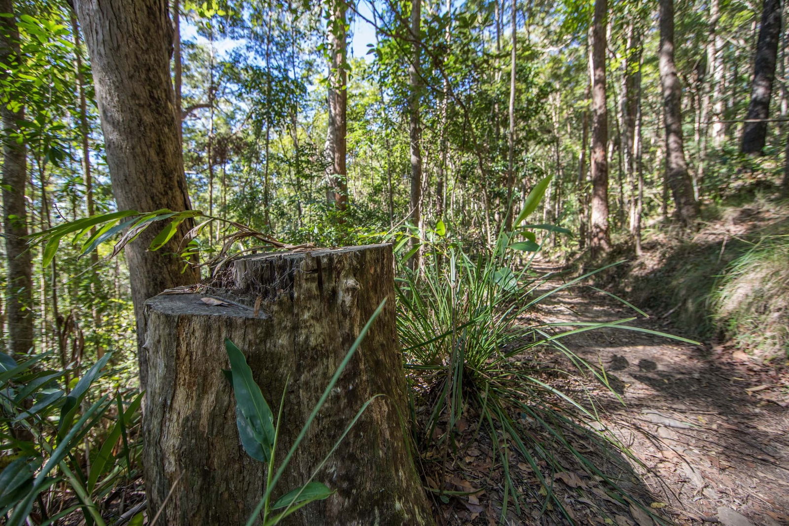 Mount Nebo QLD Accommodation Batemans Bay