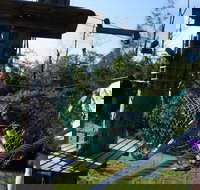 Trees Adventure - Lane Poole Park - Accommodation Batemans Bay