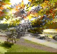 Wentworth Falls Lake - Accommodation Batemans Bay