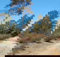 Werakata National Park - Accommodation Batemans Bay