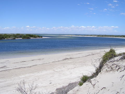 Acraman Creek Conservation Park - Accommodation Batemans Bay 0