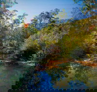 Bargo State Conservation Area - Accommodation Batemans Bay