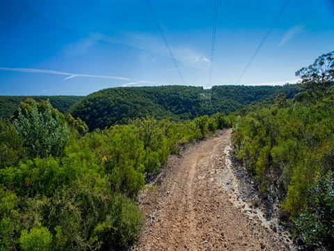 Bargo State Conservation Area - Accommodation Batemans Bay 1
