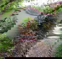 Black Dragon Gardens Wulong Yuan - Accommodation Batemans Bay