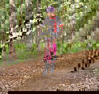 Bom Bom State Forest Mountain Bike Trails - Accommodation Batemans Bay