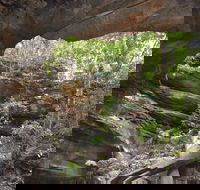 Cave Creek Walking Track - Accommodation Batemans Bay