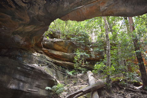 Cave Creek Walking Track - Accommodation Batemans Bay 0