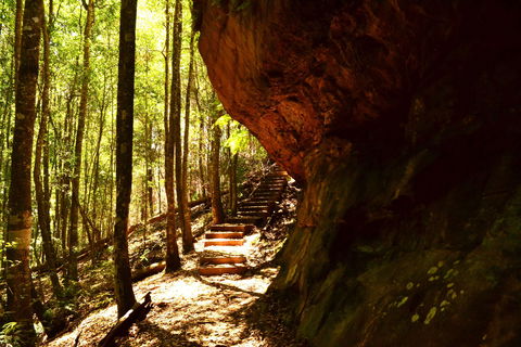 Cave Creek Walking Track - Accommodation Batemans Bay 1