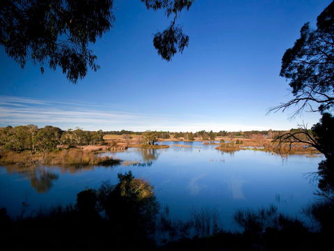 Cecil Hoskins Nature Reserve - Accommodation Batemans Bay 0