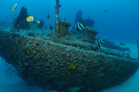 Curtin Artificial Reef Dive Site - Accommodation Batemans Bay 1