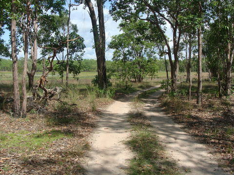 Djukbinj National Park - Accommodation Batemans Bay 0