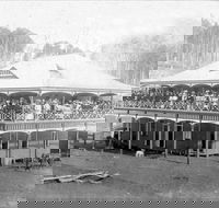 Don Dorrigo and Guy Fawkes Historical Society Museum - Accommodation Batemans Bay