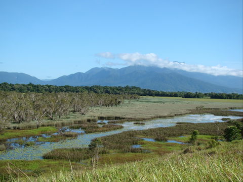 Eubenangee Swamp National Park - Accommodation Batemans Bay 0