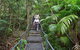 Falls Walking Track - thumb 0