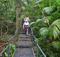 Falls walking track - Accommodation Batemans Bay