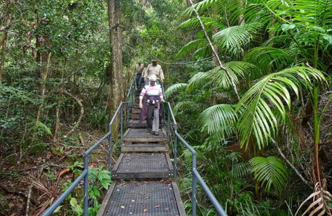 Falls Walking Track - Accommodation Batemans Bay 0