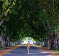 Fig Tree Avenue - Accommodation Batemans Bay