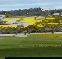 Fini Olives - Accommodation Batemans Bay