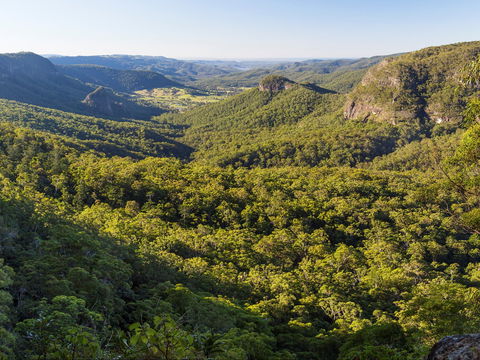 Gold Coast Hinterland Great Walk - Accommodation Batemans Bay 0
