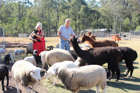 Haigslea EWE Nique Hobby Farm - Accommodation Batemans Bay 0