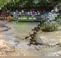 Hartley's Crocodile Adventures - Accommodation Batemans Bay