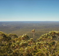 Jerrawangala National Park - Accommodation Batemans Bay