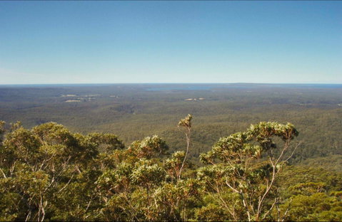 Jerrawangala National Park - Accommodation Batemans Bay 0