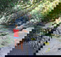 Josephine Falls walking track Wooroonooran National Park - Accommodation Batemans Bay