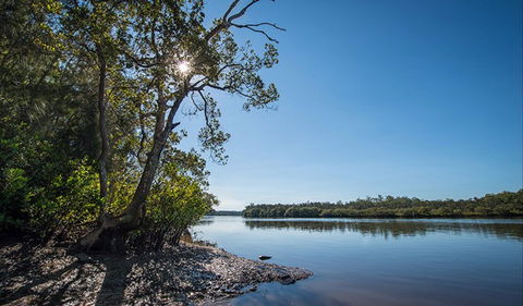 Karuah River National Park And Nature Reserve - Accommodation Batemans Bay 0