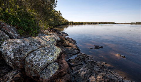 Karuah River National Park And Nature Reserve - Accommodation Batemans Bay 2