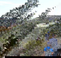 Kinchina Conservation Park - Accommodation Batemans Bay